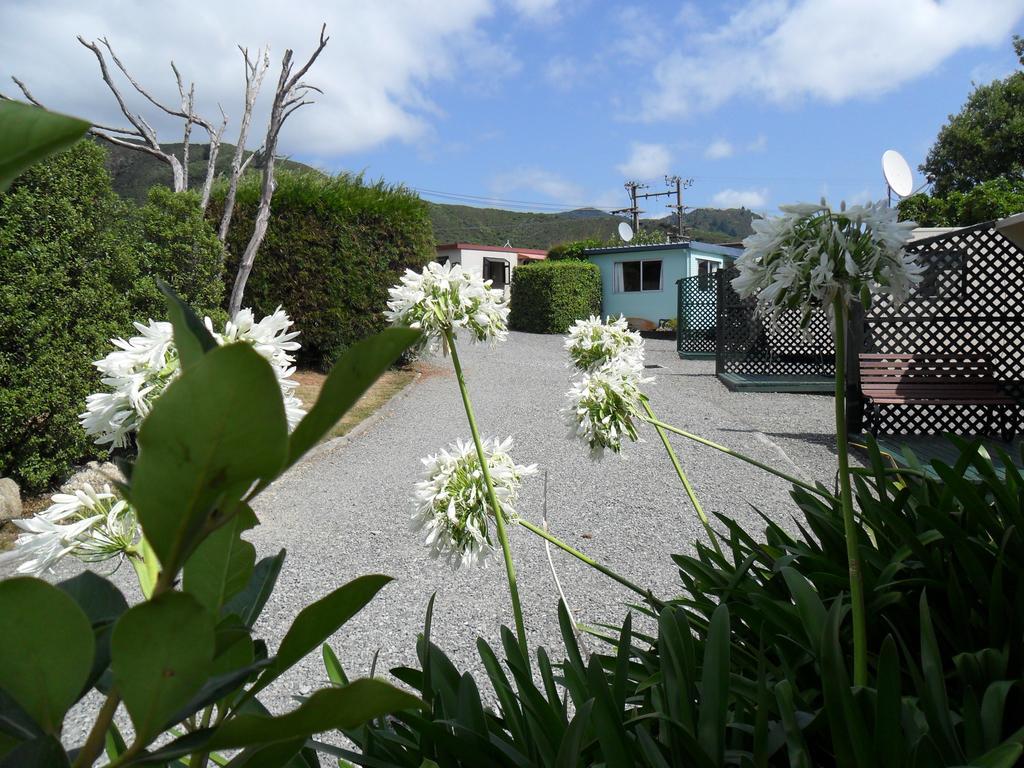 Picton'S Waikawa Bay Holiday Park Buitenkant foto